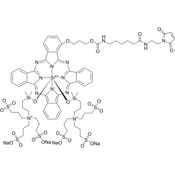 IRDye700Dx (Maleimide)